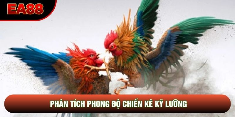 Phân tích phong độ chiến kê kỹ lưỡng Phân tích phong độ chiến kê kỹ lưỡng