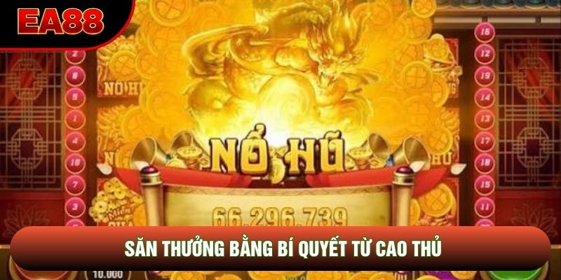 Săn thưởng bằng bí quyết từ cao thủ
