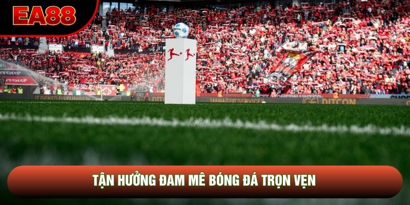 Tận hưởng đam mê bóng đá trọn vẹn